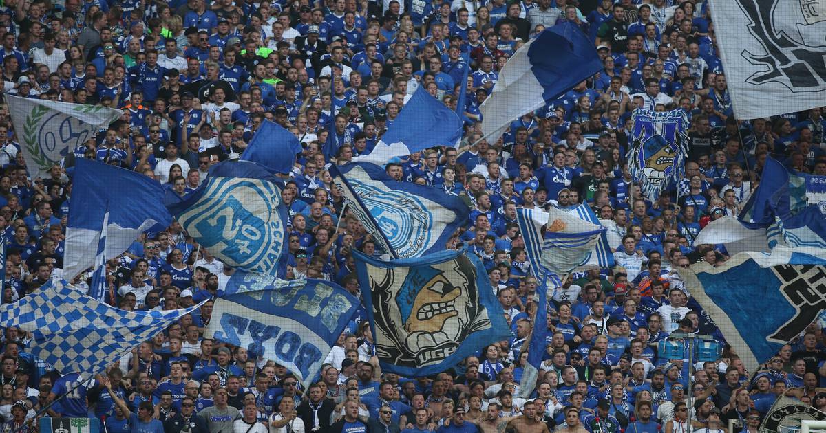 Schalke vs Werder Bremen betting tips: Bundesliga prediction, preview and odds