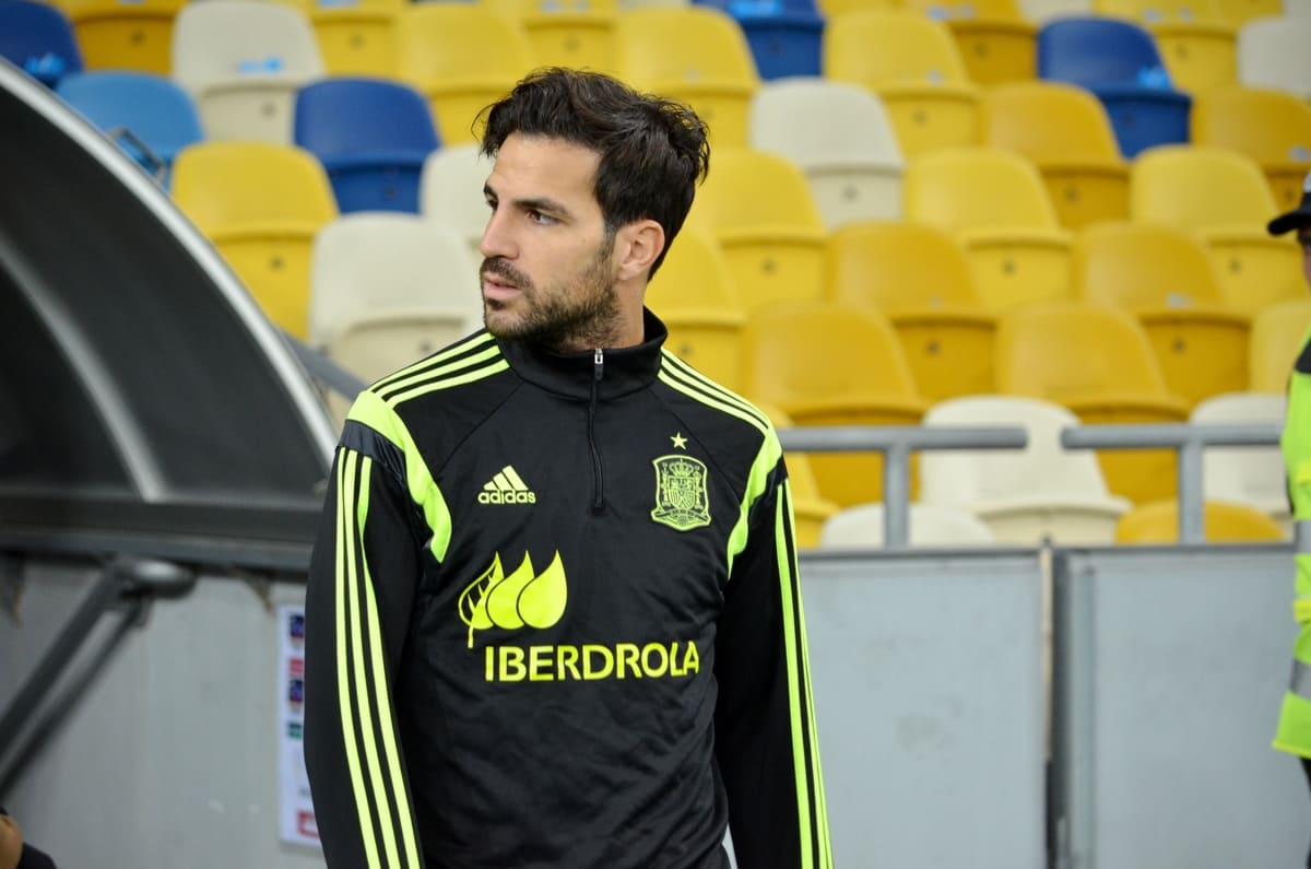 Cesc Fabregas