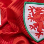 Wales football shirt with badge, crest and logo